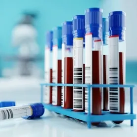 exames - GR Protection